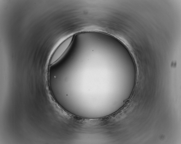 X0000097981008200804071120