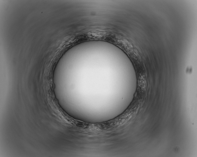 X0000097981009200804071119