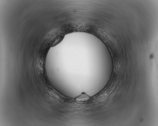 X0000097981010200804071119