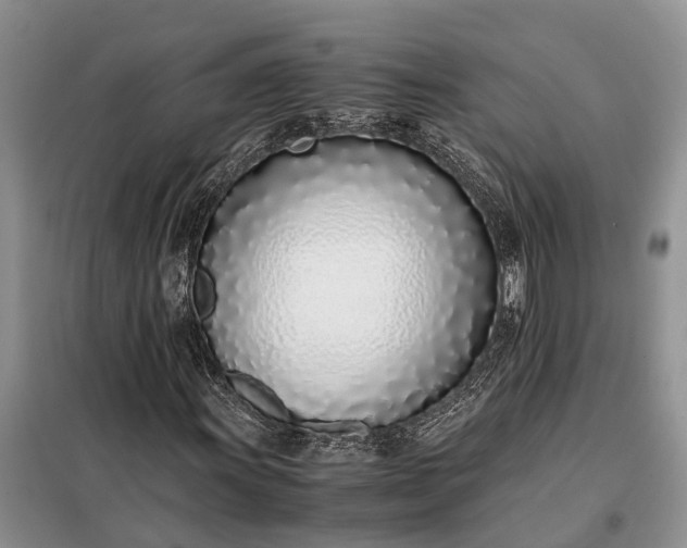 X0000097981011200804071119