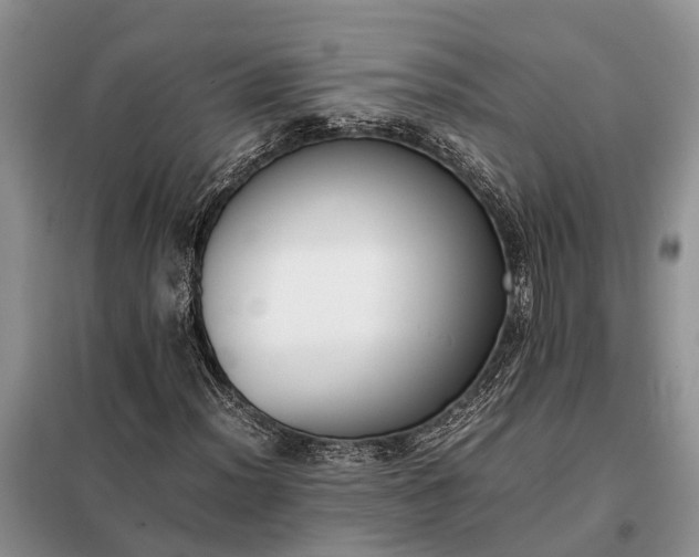 X0000097981012200804071119
