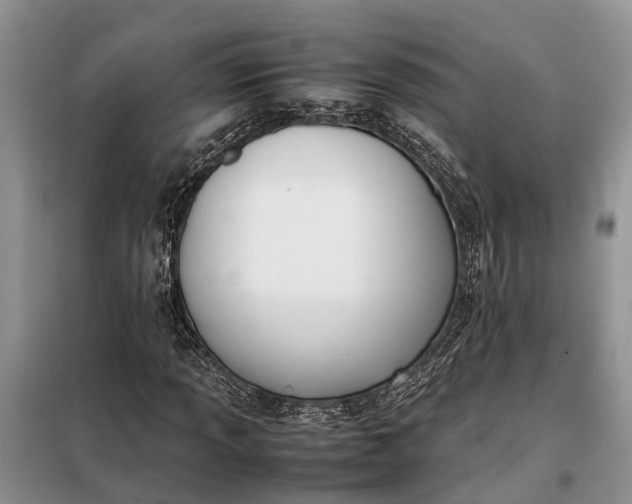 X0000097981013200804071119