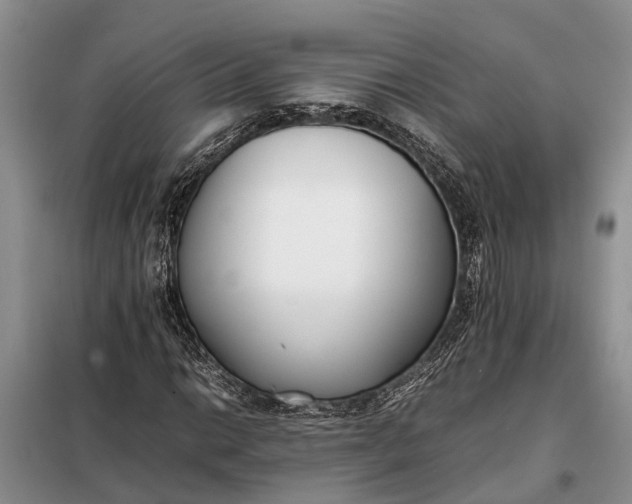 X0000097981014200804071119
