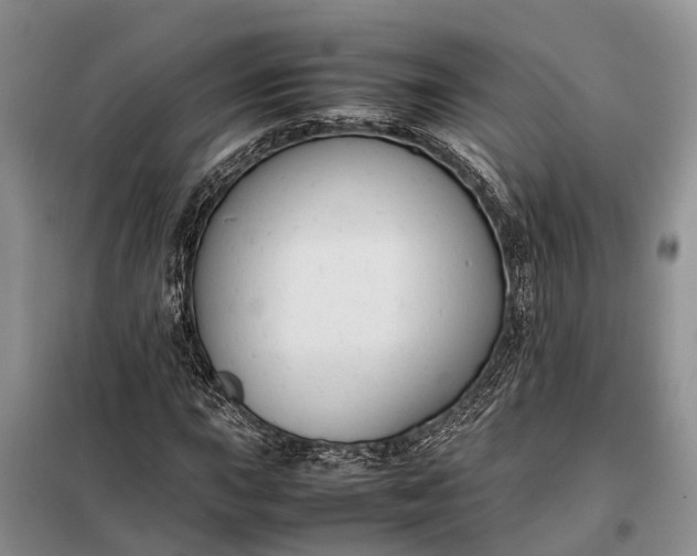X0000097981015200804071119