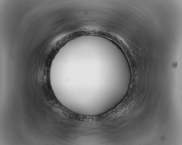 X0000097981016200804071119
