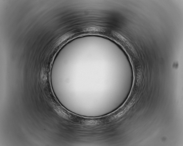 X0000097981017200804071119