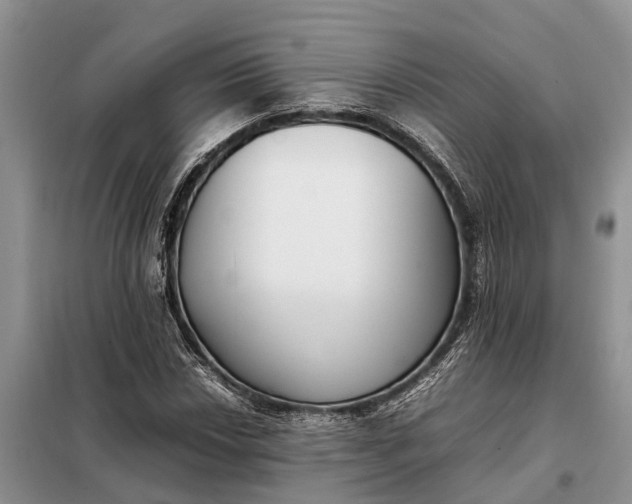 X0000097981018200804071119
