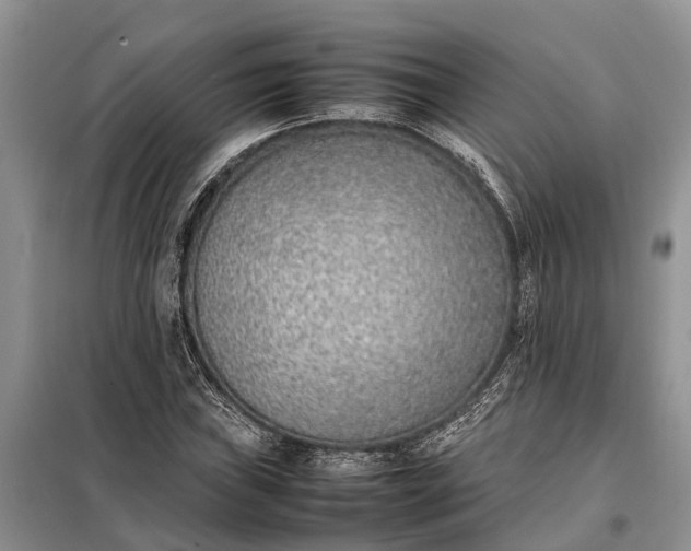 X0000097981019200804071119