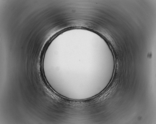 X0000097981020200804071119