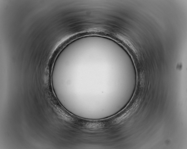 X0000097981021200804071119