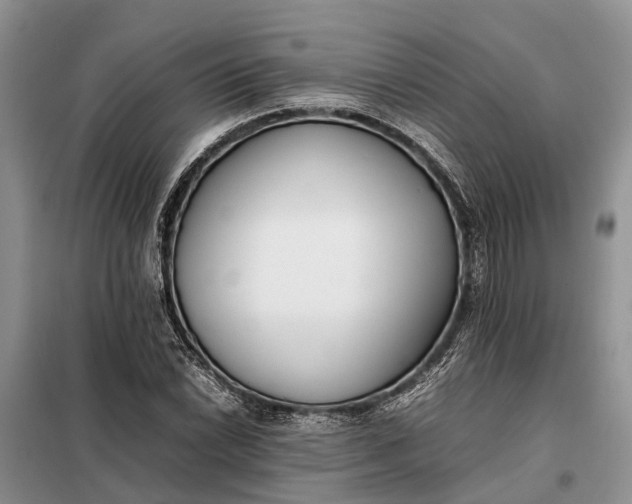 X0000097981022200804071119
