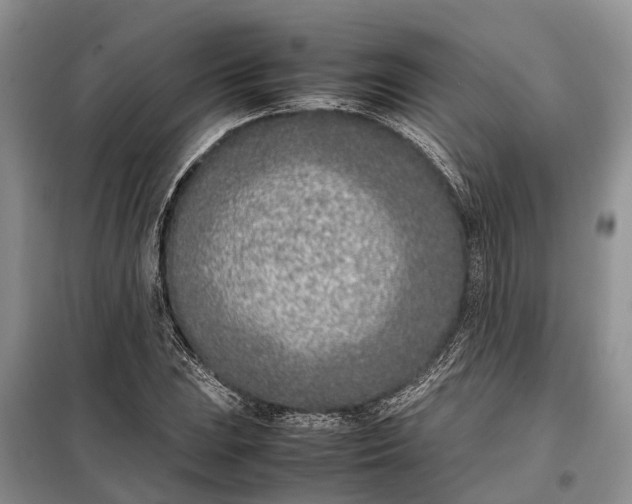 X0000097981023200804071119