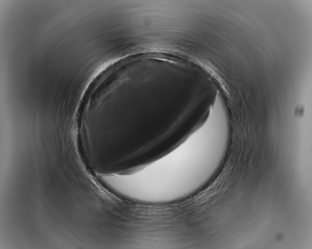 X0000097981024200804071119
