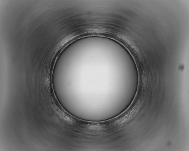 X0000097981025200804071119