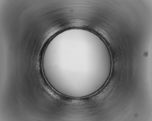 X0000097981026200804071119