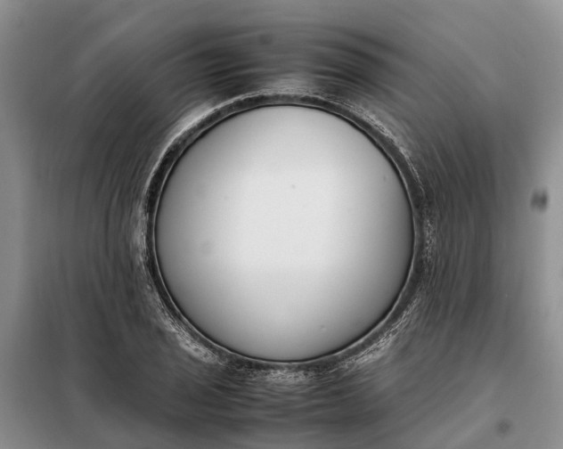 X0000097981029200804071119