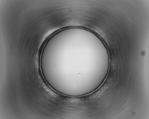 X0000097981030200804071119