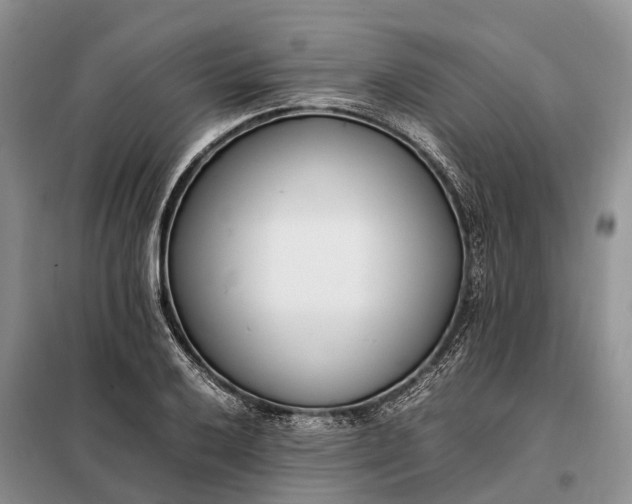 X0000097981032200804071119