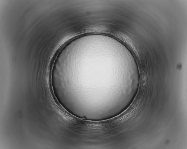 X0000097981035200804071119