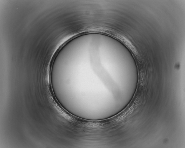 X0000097981036200804071119