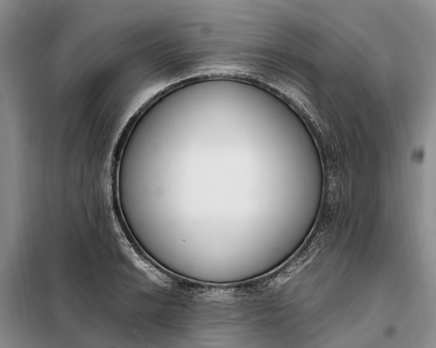X0000097981038200804071119