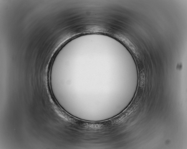 X0000097981039200804071119
