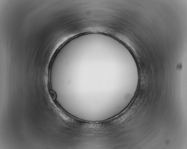 X0000097981040200804071119