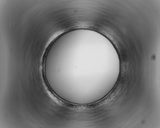 X0000097981042200804071119
