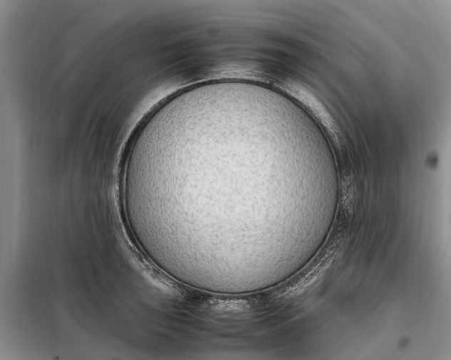 X0000097981043200804071119