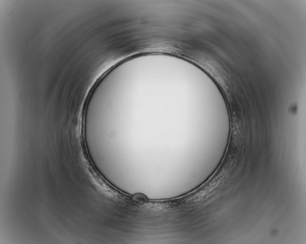 X0000097981044200804071119