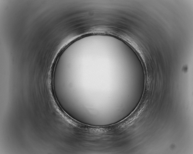 X0000097981045200804071119