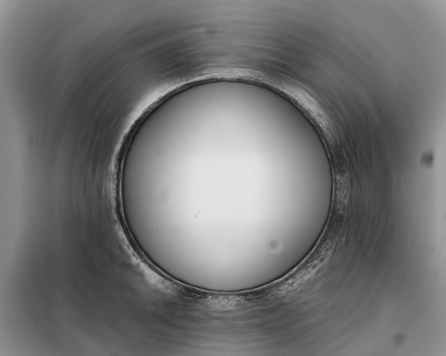 X0000097981046200804071119