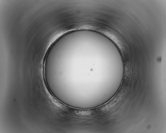 X0000097981047200804071120