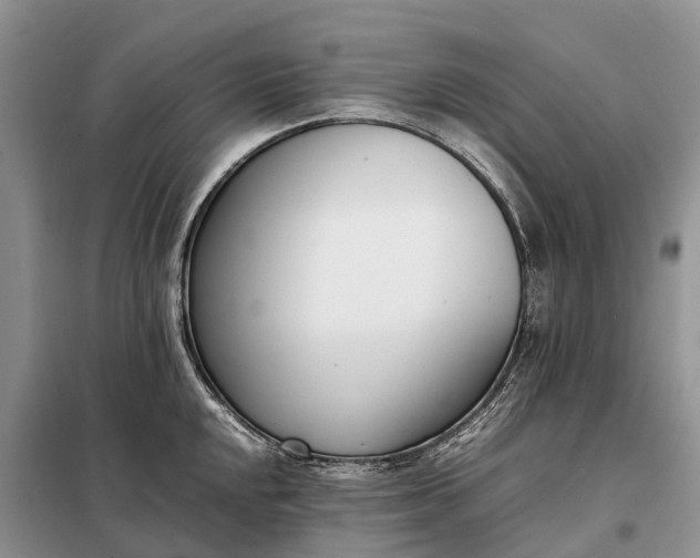 X0000097981048200804071120