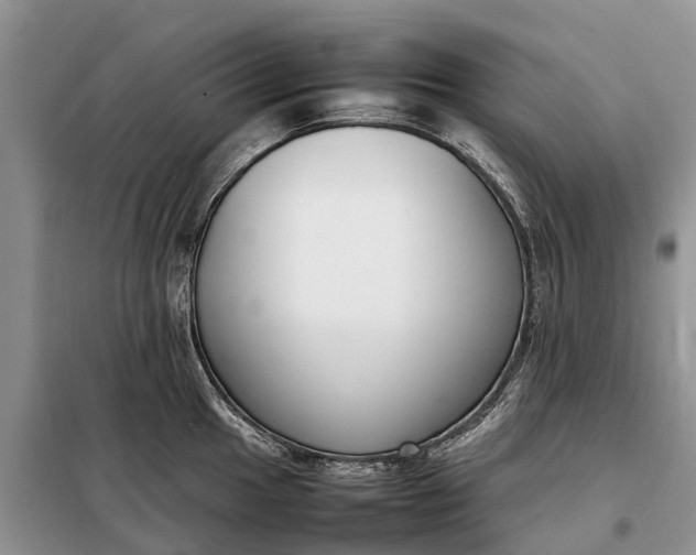 X0000097981049200804071120