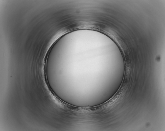 X0000097981050200804071120