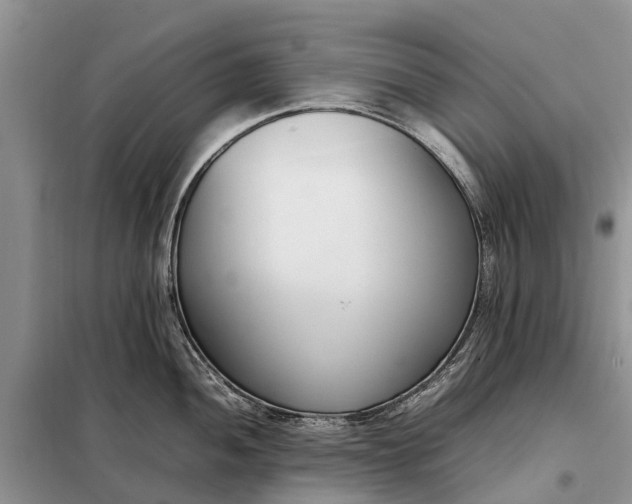 X0000097981052200804071120