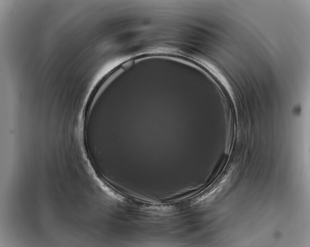 X0000097981053200804071120