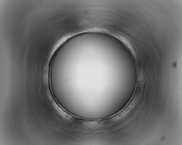 X0000097981054200804071120