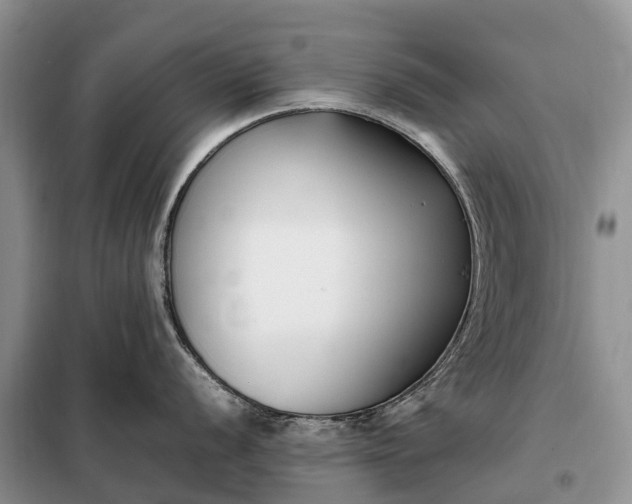 X0000097981056200804071120
