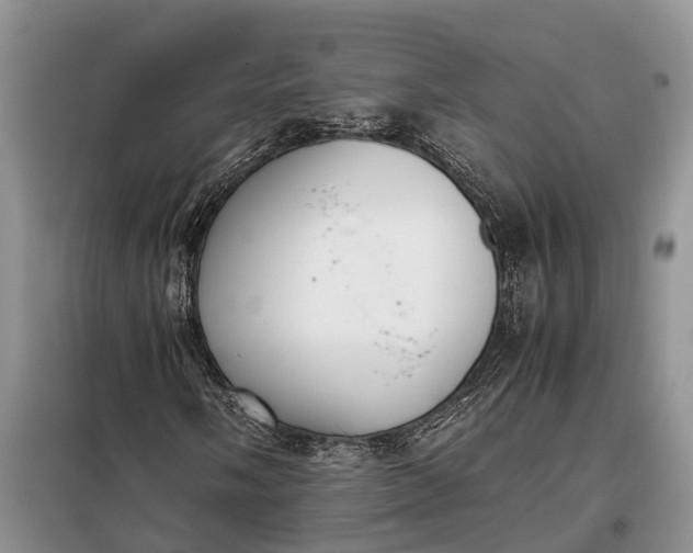 X0000097981058200804071119