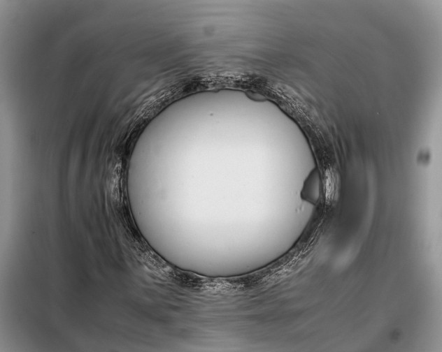 X0000097981059200804071119