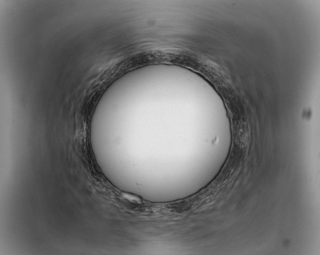 X0000097981061200804071119