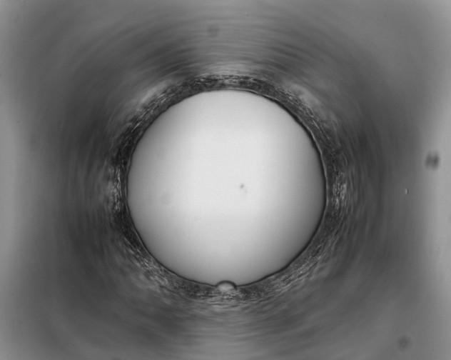 X0000097981062200804071119