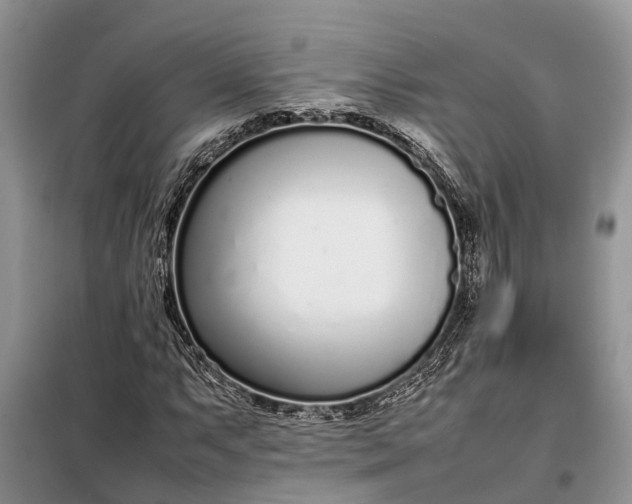 X0000097981063200804071119