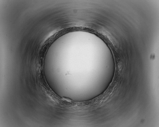X0000097981064200804071119