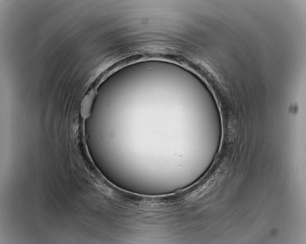 X0000097981065200804071119