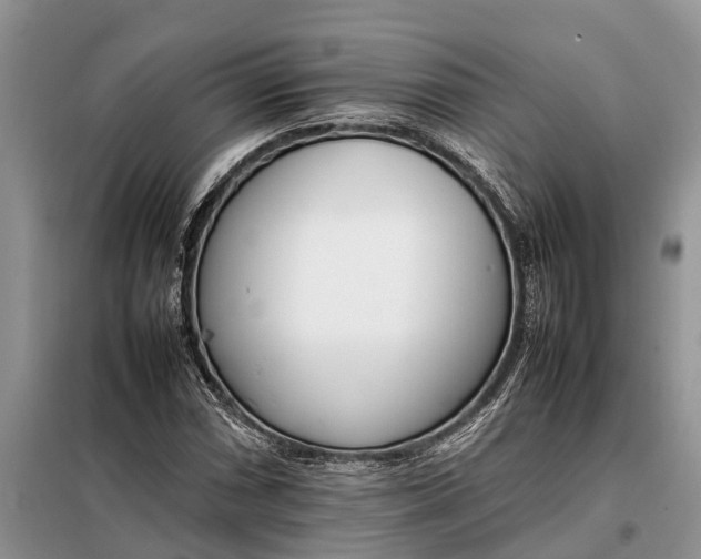 X0000097981066200804071119