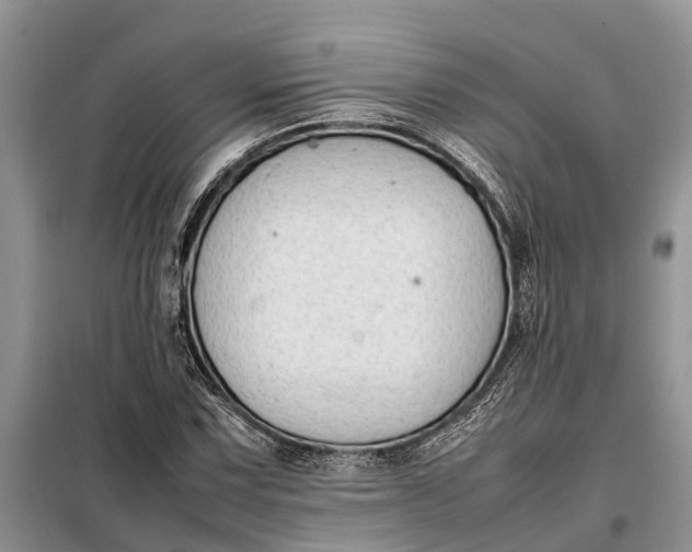 X0000097981067200804071119