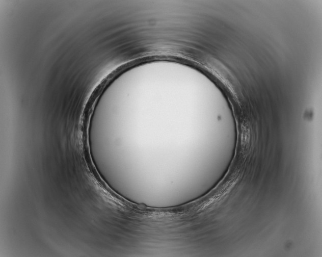 X0000097981068200804071119